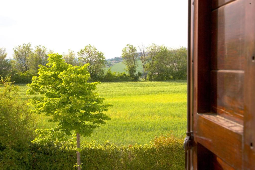 Locanda Il Girasole Ancona Pokoj fotografie